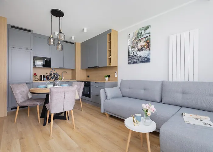 Elegancki Apartament W Krakowie Z Klimatyzacja I Dostepem Do Silowni By Noclegi Renters